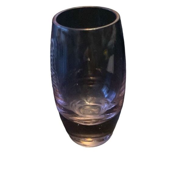 Pre Owned Carnival Cruise Lines Pink Shot Glass Etched Logo Shotglass HTF - Picture 8 of 10